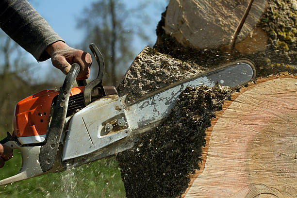 Mulching Services in Cary, NC